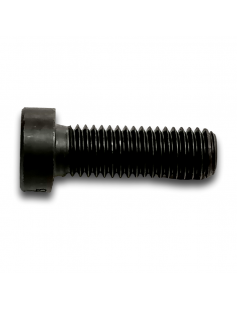 VITE CZHC M10X30 CL 10.9 ZN HK