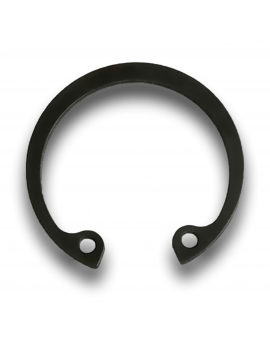 ANELLI SEEGER INTERNI D28