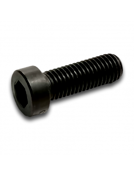VITE CZHC M10X30 CL 10.9 ZN HK