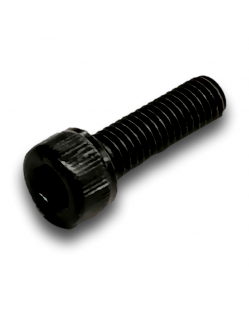 VIS CHC M6X20 CL 8.8 ZN