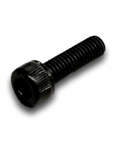 VIS CHC M6X20 CL 8.8 ZN