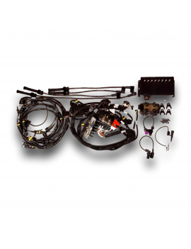 KIT COMPLETO CABLAGGIO EVO