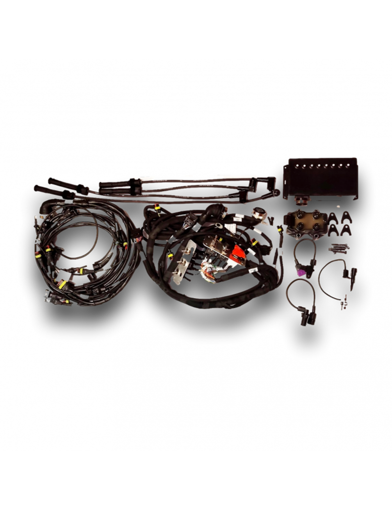 KIT COMPLETO CABLAGGIO EVO