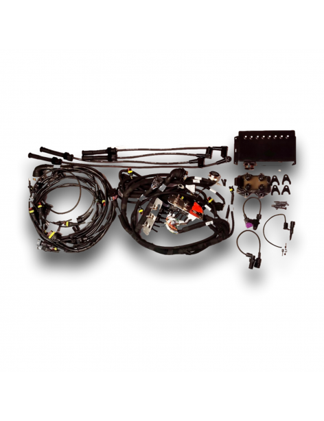 KIT COMPLET FAISCEAU EVO