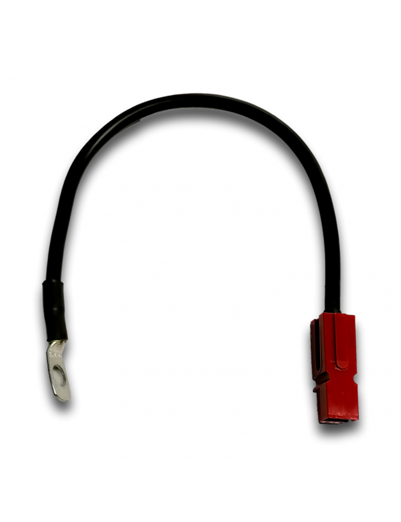 CABLAGGIO INTERC DA CC