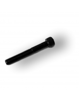 VITE TCEI M6x45-20 CL12.9