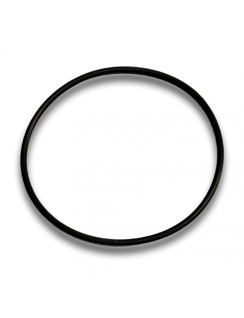 O-RING D2 D54 VITON