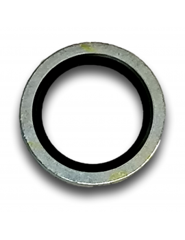 ANELLO DI TENUTA VALVOLA ACCUSUMP