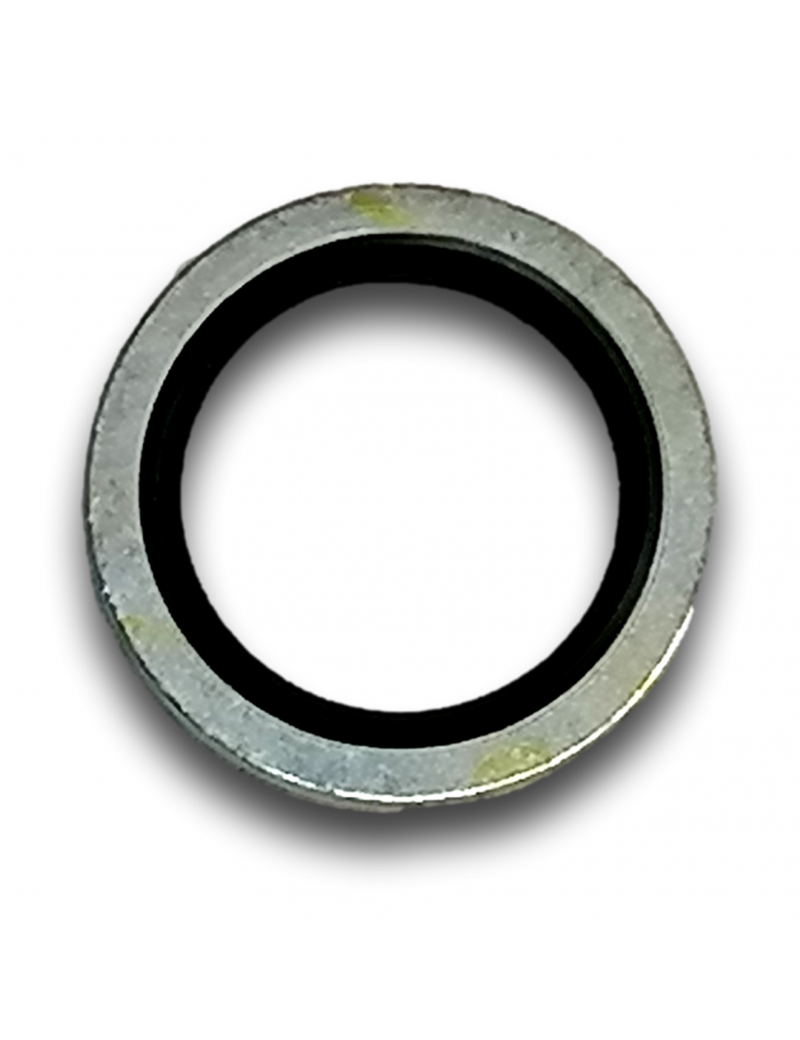 ANELLO DI TENUTA VALVOLA ACCUSUMP
