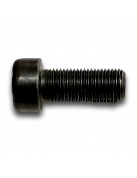 VITE TCEI TORX M10X24 P100 VOLANO MOTORE MITJET ST