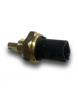 SONDA TEMPERATURA ACQUA