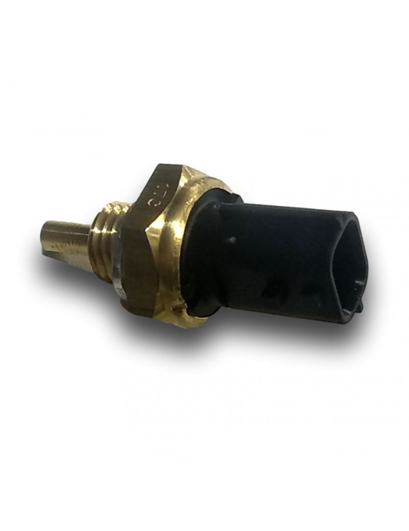 SONDA TEMPERATURA ACQUA