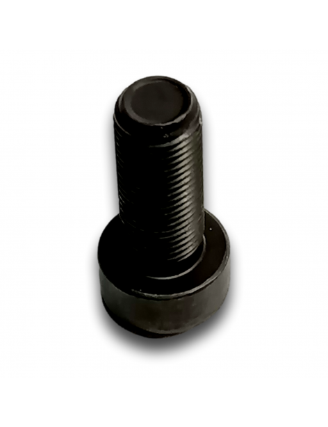 VITE TCEI TORX M10X24 P100 VOLANO MOTORE MITJET ST