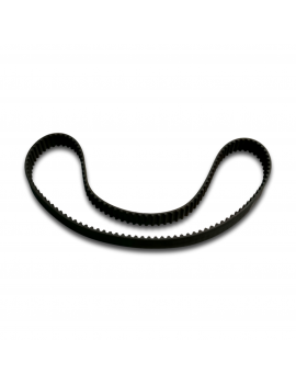 CINGHIA DISTRIBUZIONE