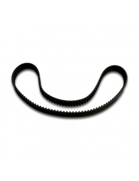 CINGHIA DISTRIBUZIONE