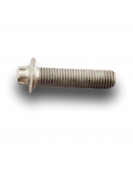 VITE CARTER PULEGGIA ALBERO MOTORE M7X45