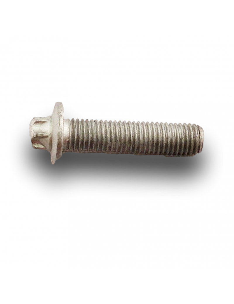 VITE CARTER PULEGGIA ALBERO MOTORE M7X45