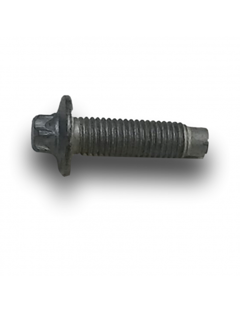 VITE CARTER INFERIORE M7X25