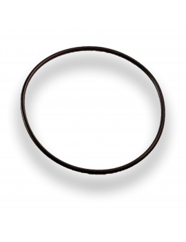 O-RING D49X1.5 ADATTATORE-CORPO