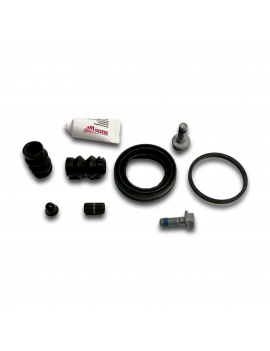 KIT RIPARAZIONE PINZA POST. 2 LITRI