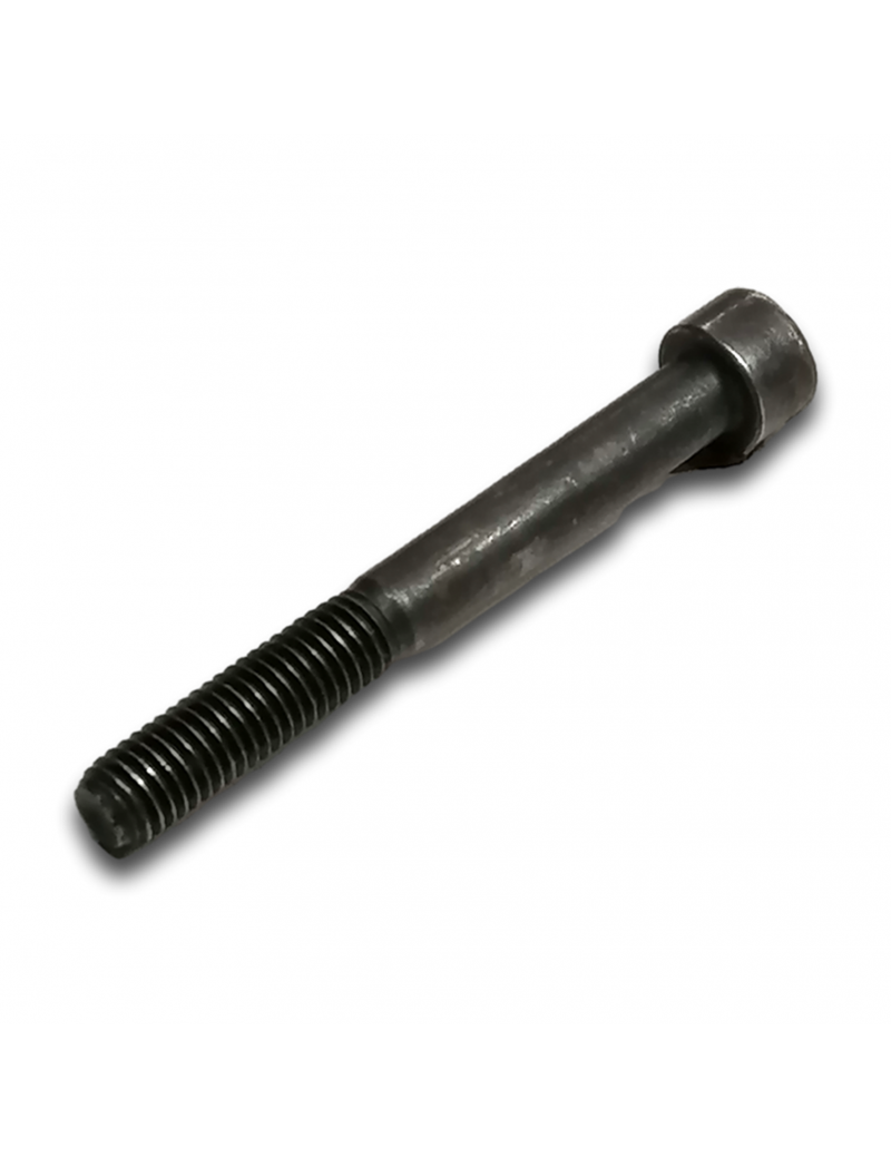 VITE H M8x70/24 CL 8.8 BICROMATA