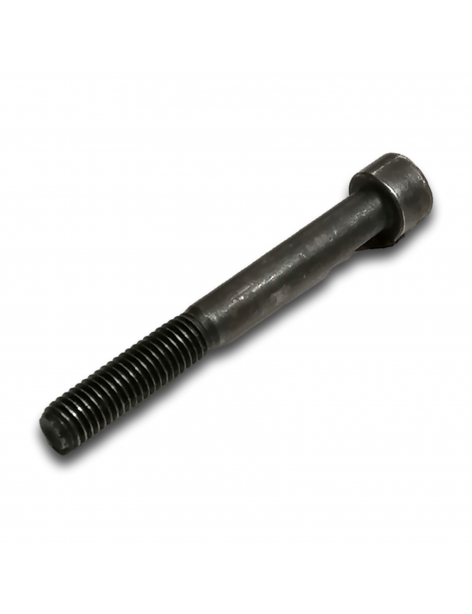 VITE H M8x70/24 CL 8.8 BICROMATA