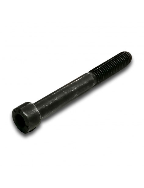 VITE H M8x70/24 CL 8.8 BICROMATA