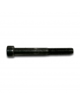 VITE H M8x70/24 CL 8.8 BICROMATA