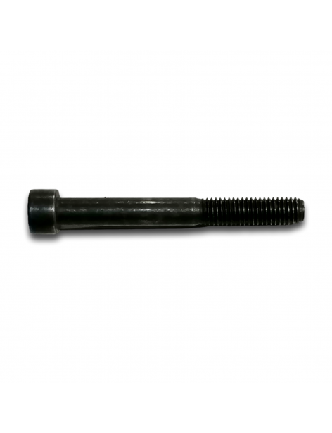 VITE H M8x70/24 CL 8.8 BICROMATA