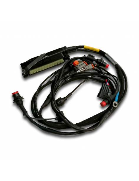 CABLAGGIO MITJET SADEV-006