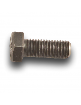 VITE TH M12X31 CL12.9
