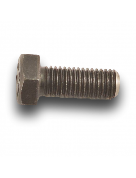 VITE TH M12X31 CL12.9