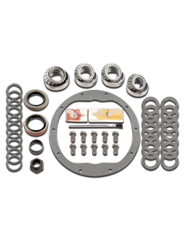 KIT REVISIONE PONTE SENZA GUARNIZIONI SPI E O-RING DI FLANGE E NASO