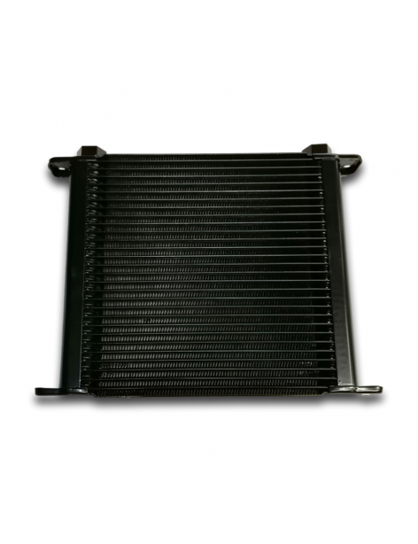 RADIATORE OLIO MOTORE V6