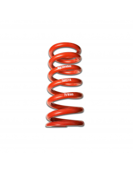 ZF REAR SPRING MITJET 2L  - OK FOR TAV229A AND TAV229