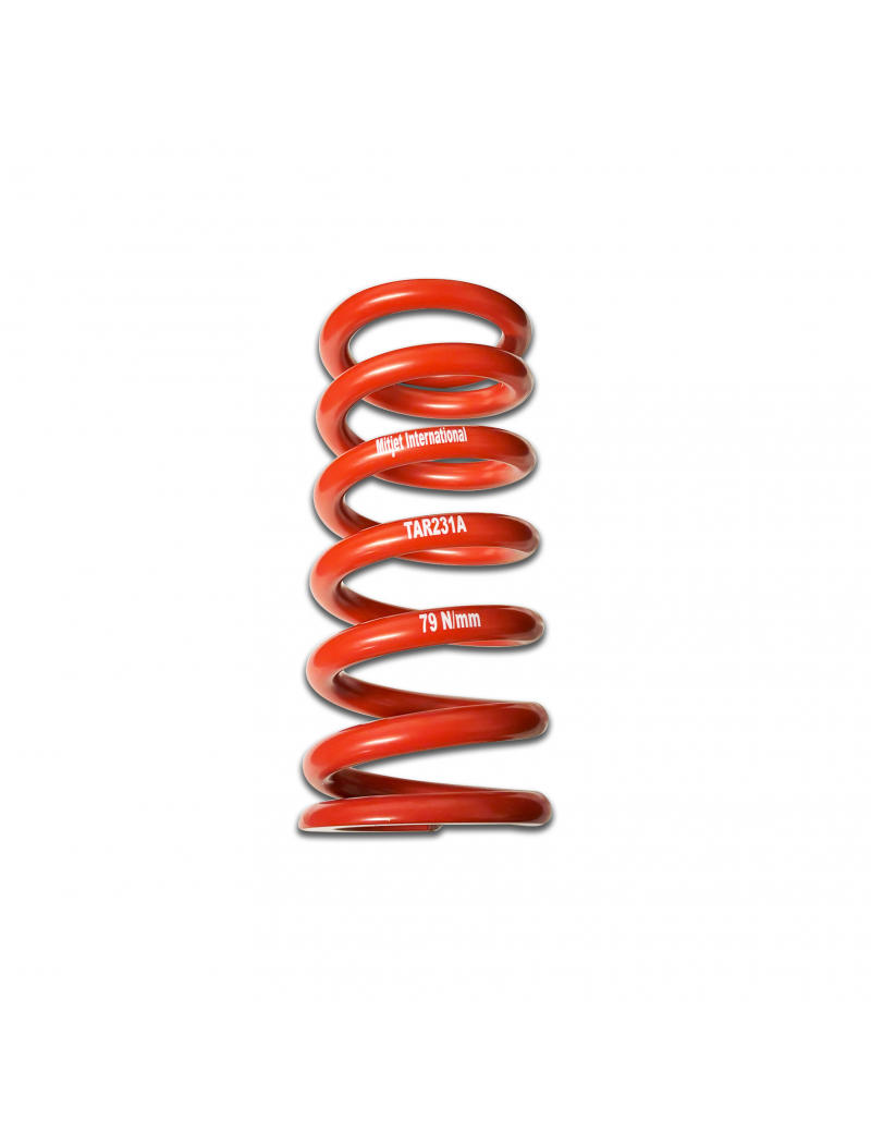 ZF REAR SPRING MITJET 2L  - OK FOR TAV229A AND TAV229