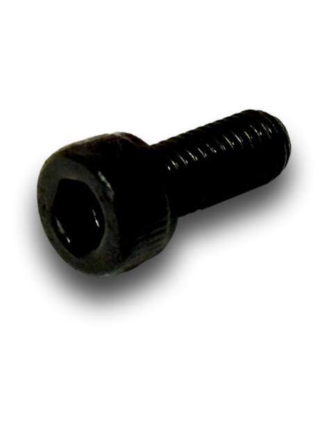 VIS CHC M4x10 CL10.9 BICHRO