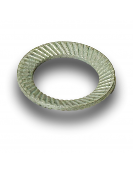 RONDELLA D10 SCHNORR