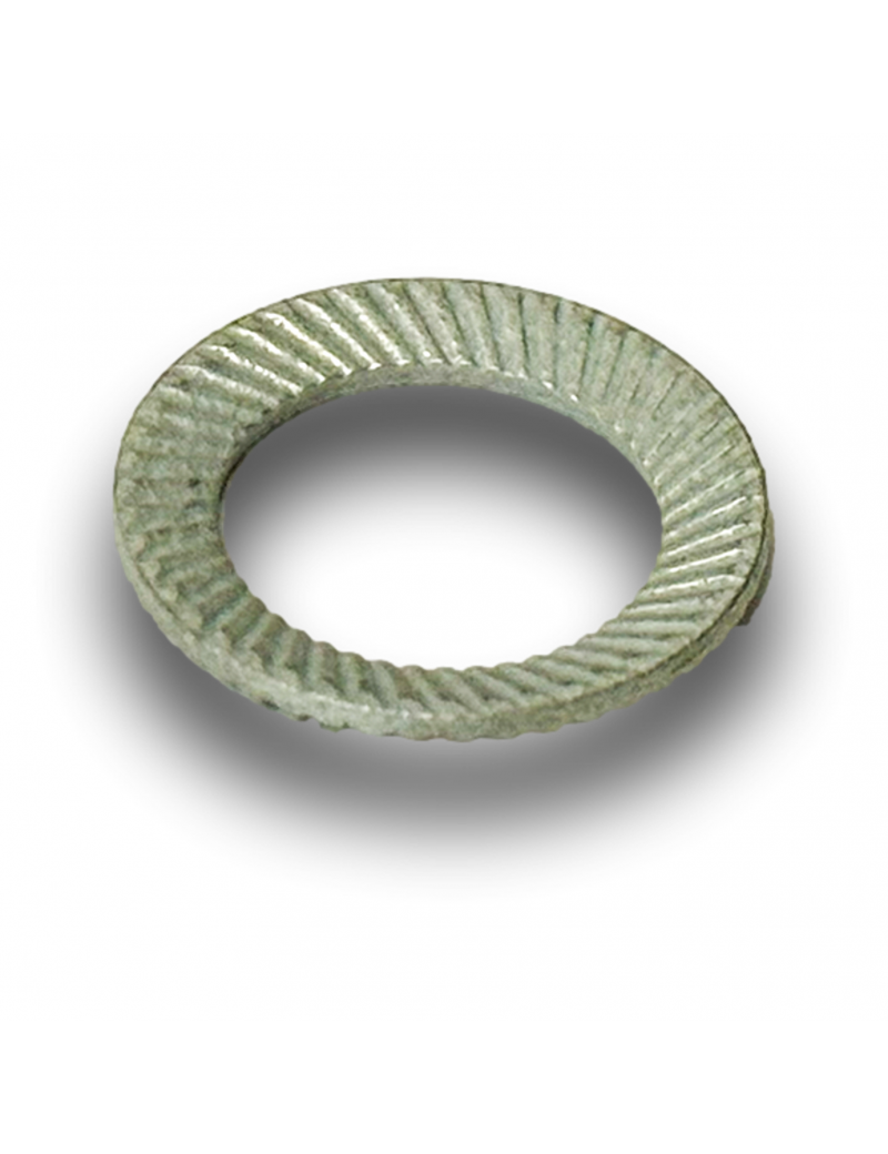 RONDELLA D10 SCHNORR