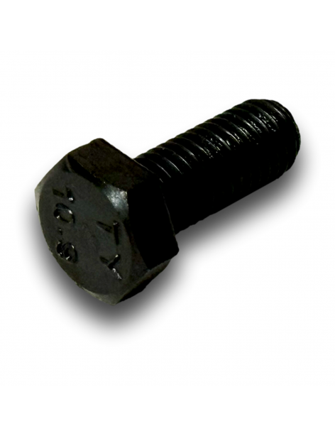 VITE H M8x25 CL10.9